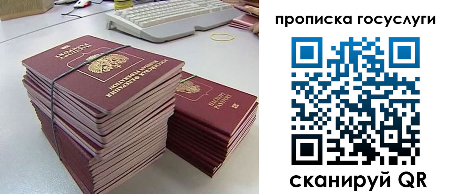 временная регистрация для школы в Шумихе